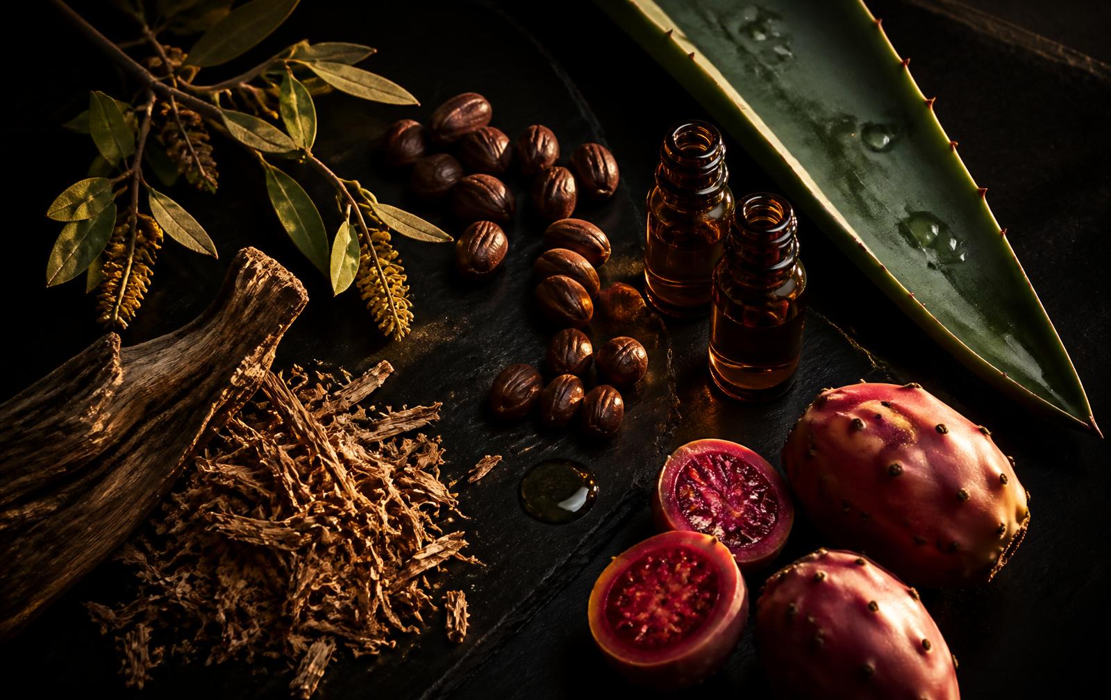 Desert botanicals and amber glass vials of oil on black stone
